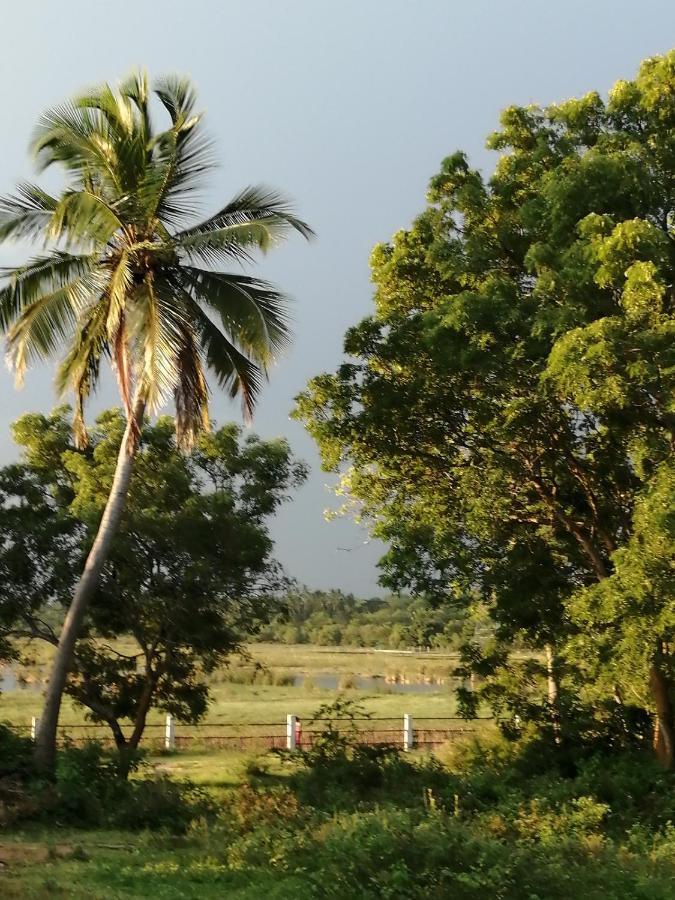 Giri Villa Tangalle Eksteriør billede